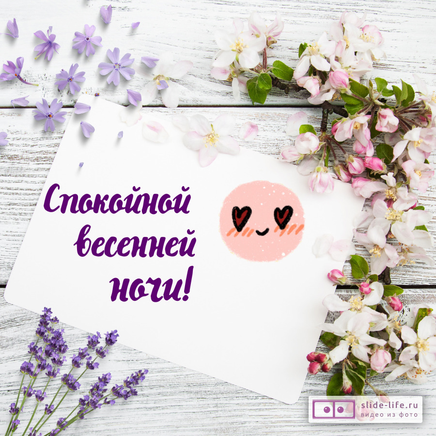 Открытка спокойной весенней ночи