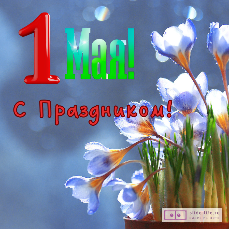Красивая открытка с 1 Мая