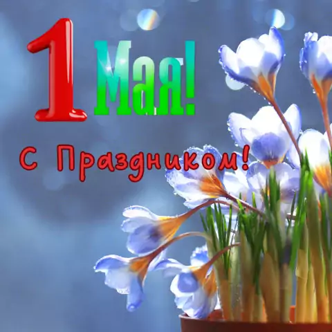 Красивая открытка с 1 Мая