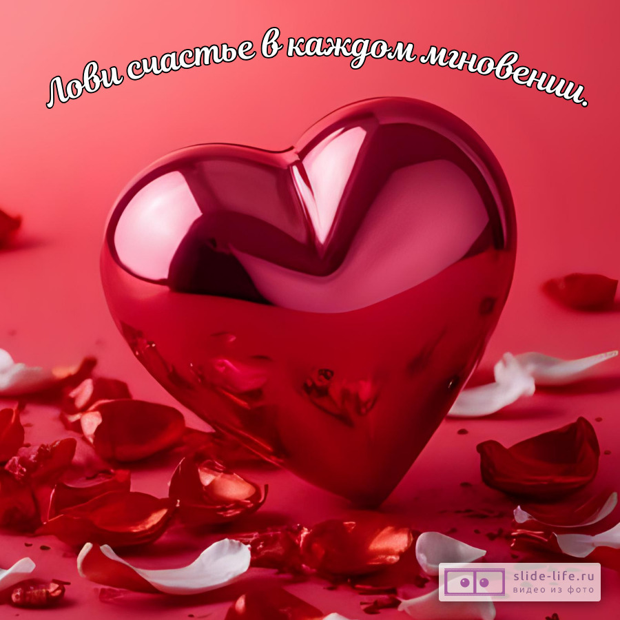 Душевные пожелания любимой девушке