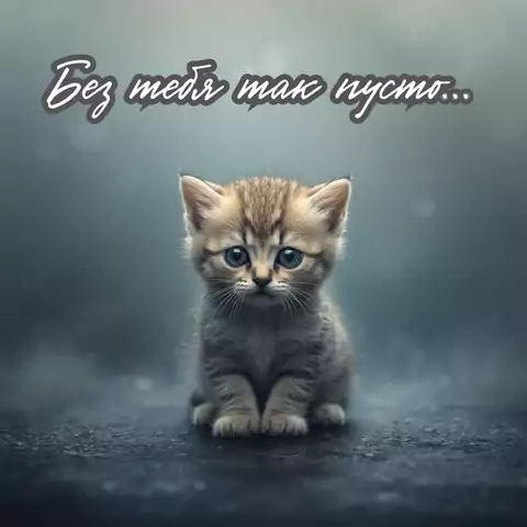 Открытка без тебя так пусто