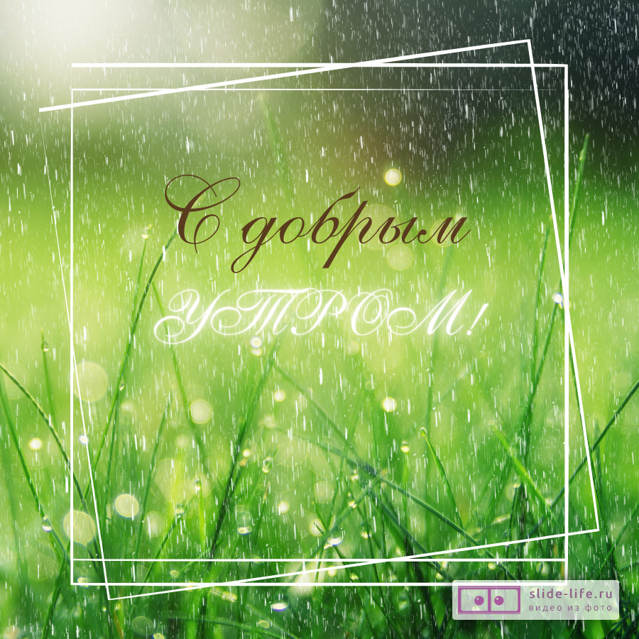 Открытка с добрым утром с дождем