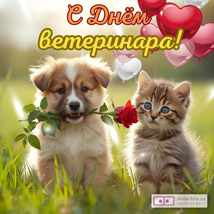 Красивая открытка с Днём ветеринара