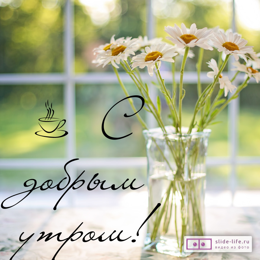 Нежная открытка с добрым утром