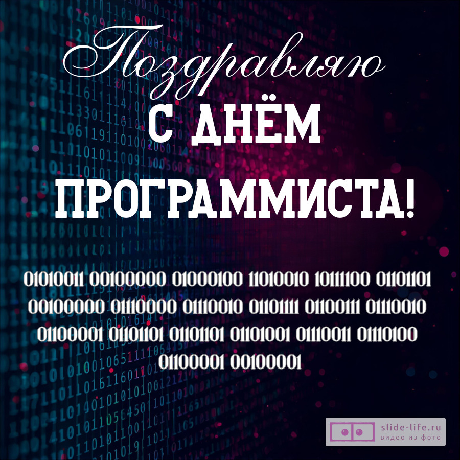 Красивая открытка с Днём программиста