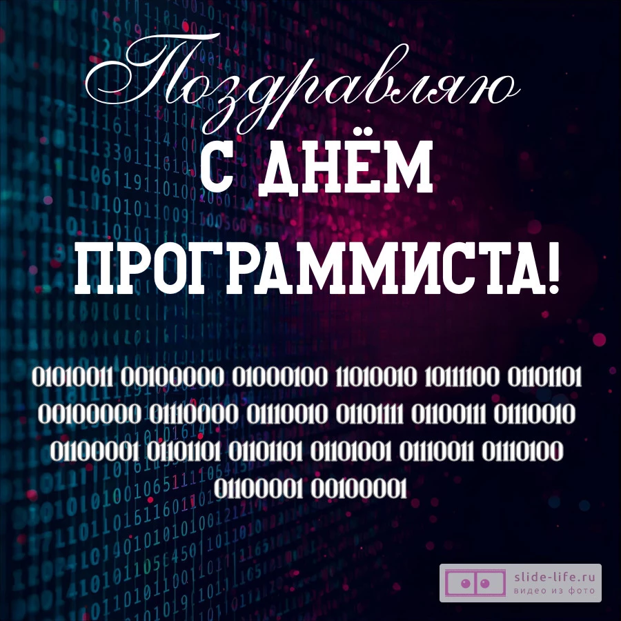 Красивая открытка с Днём программиста