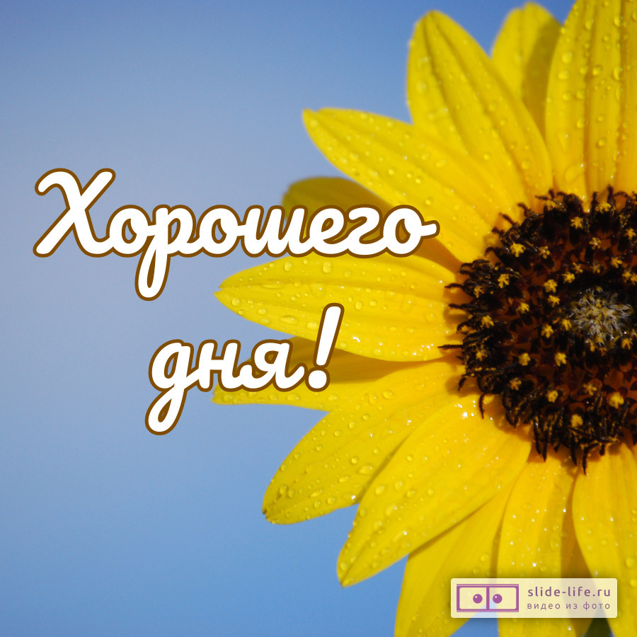 Хорошего дня! Позитивная картинка