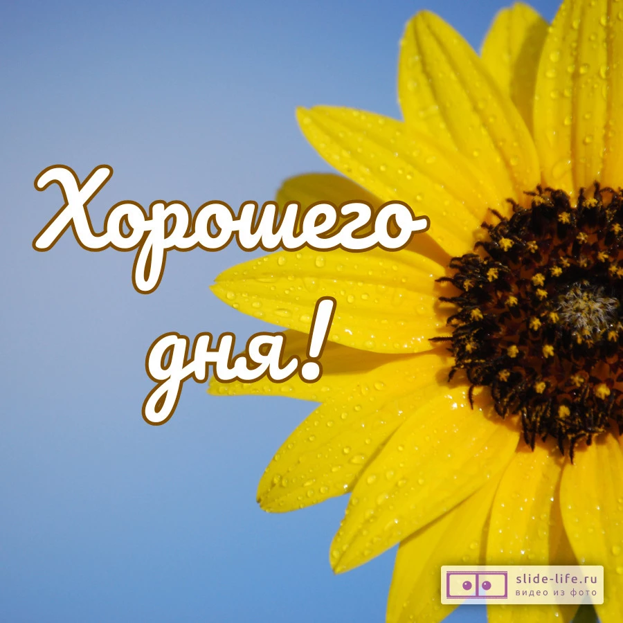 Хорошего дня! Позитивная картинка
