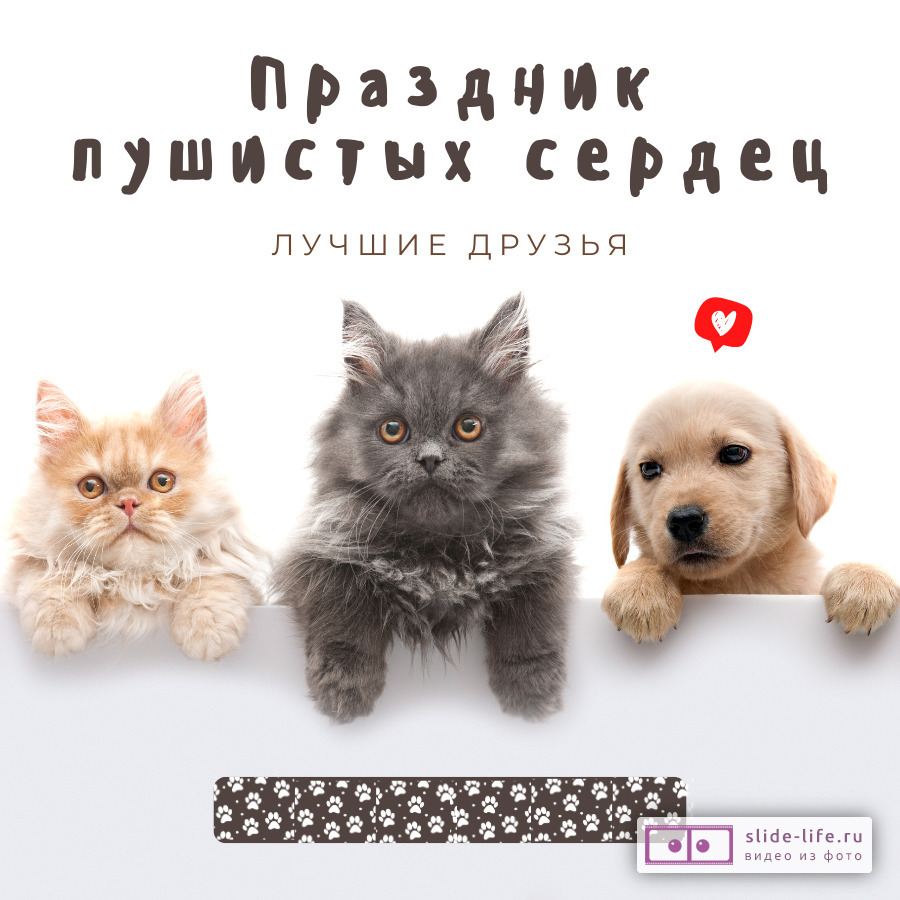Необычная открытка с днем домашних животных
