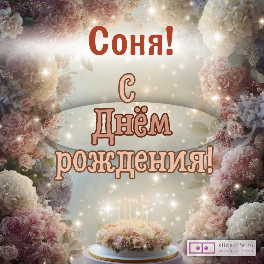 Соня, с Днём рождения! Красивая открытка