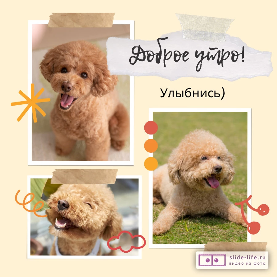 Открытка с добрым утром с собаками