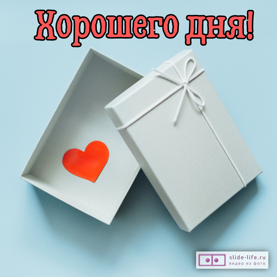 Хорошего дня! Нежная картинка