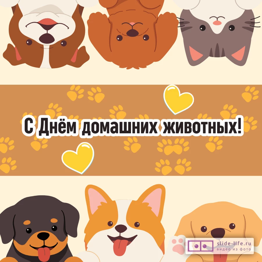 Милая открытка с днем домашних животных