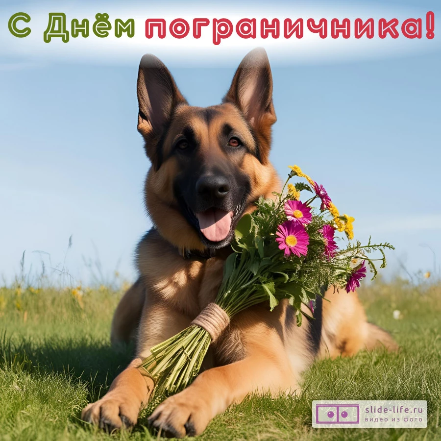 Оригинальная открытка с Днём пограничника