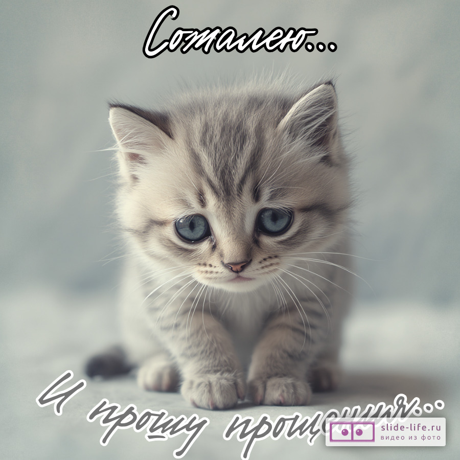 Красивые картинки Прости с искренними словами