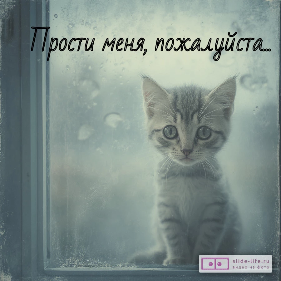 Картинка Прости с трогательными словами