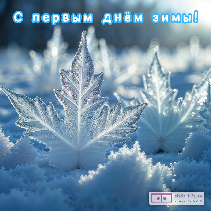 Открытка на первый день зимы