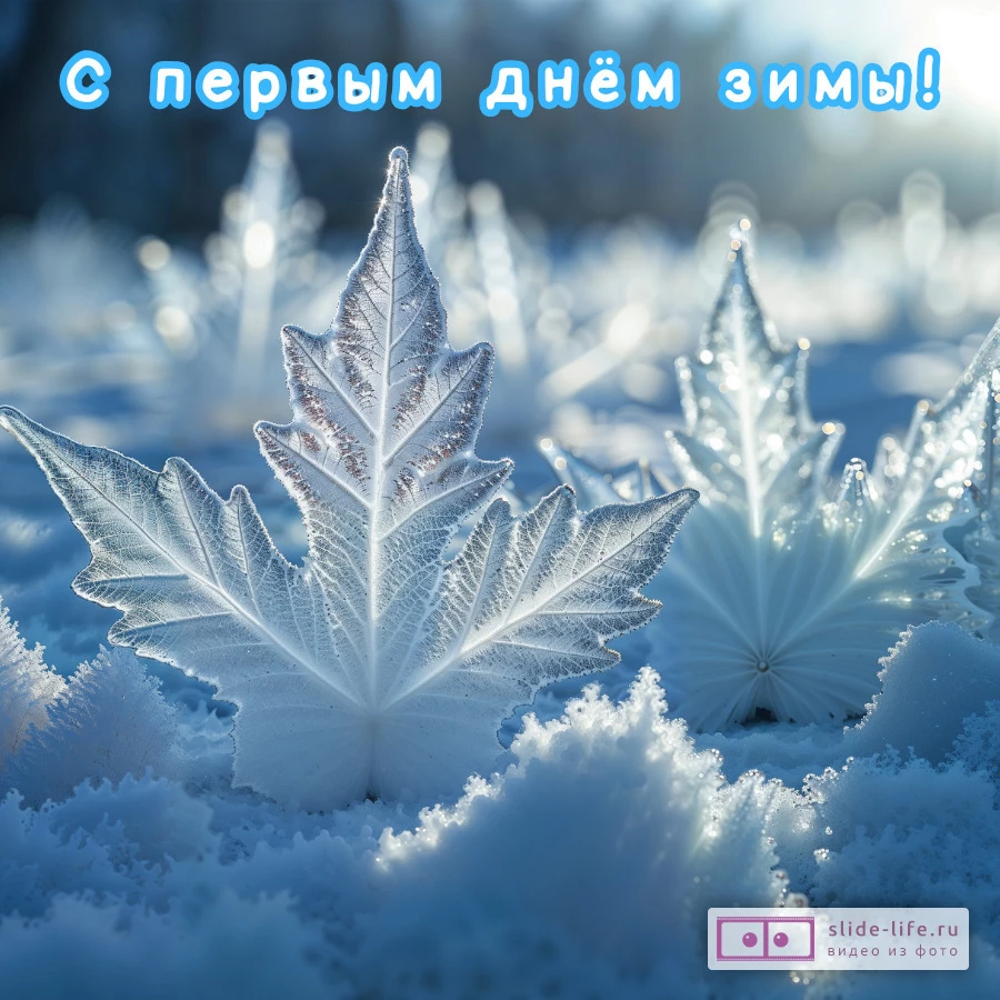 Открытка на первый день зимы