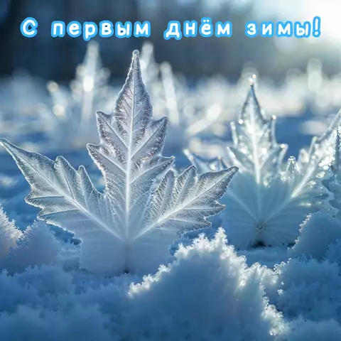 Открытка на первый день зимы