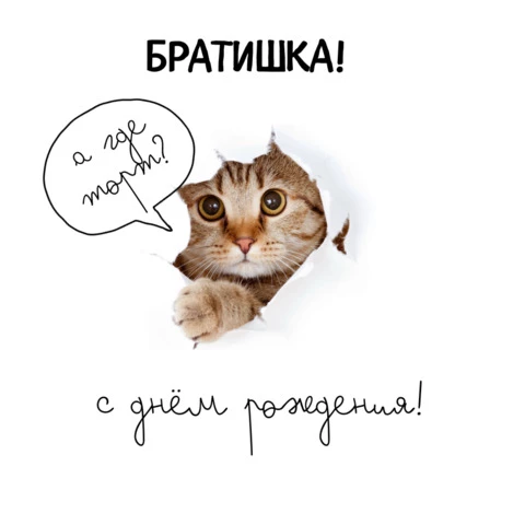 Прикольная открытка с днем рождения брату
