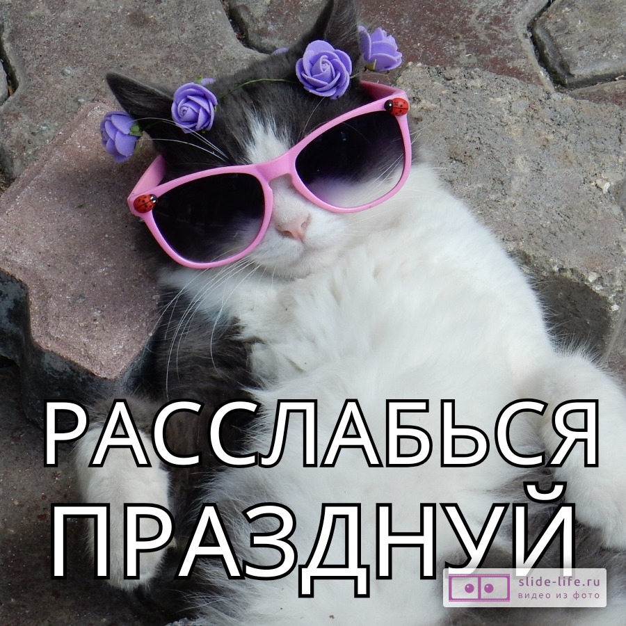 Открытка с днем рождения женщине шутливая