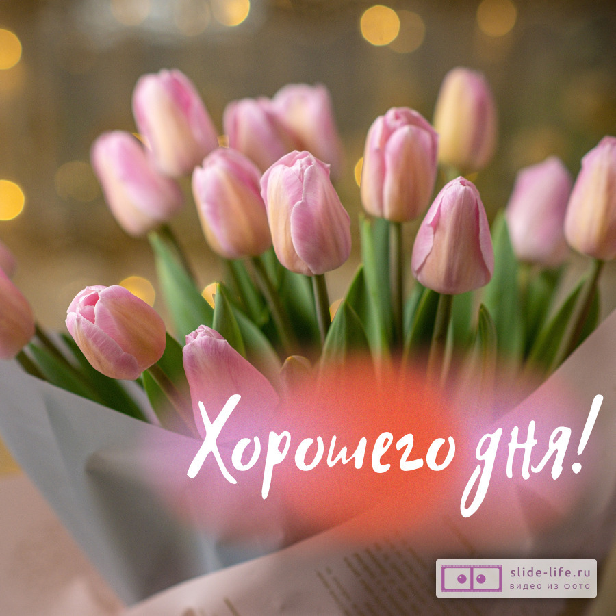 Хорошего дня! Красивое пожелание открытка