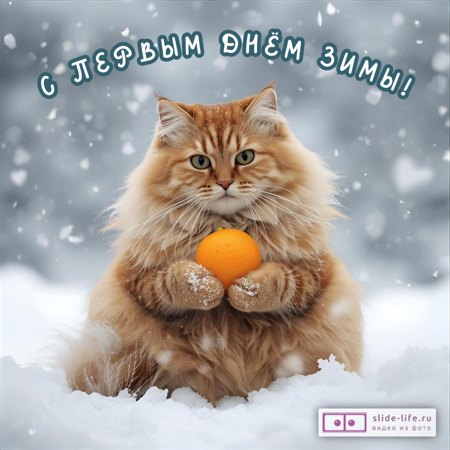 Красивая открытка с Первым днём зимы