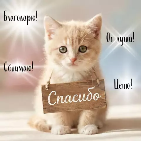 Открытка спасибо с нежными словами