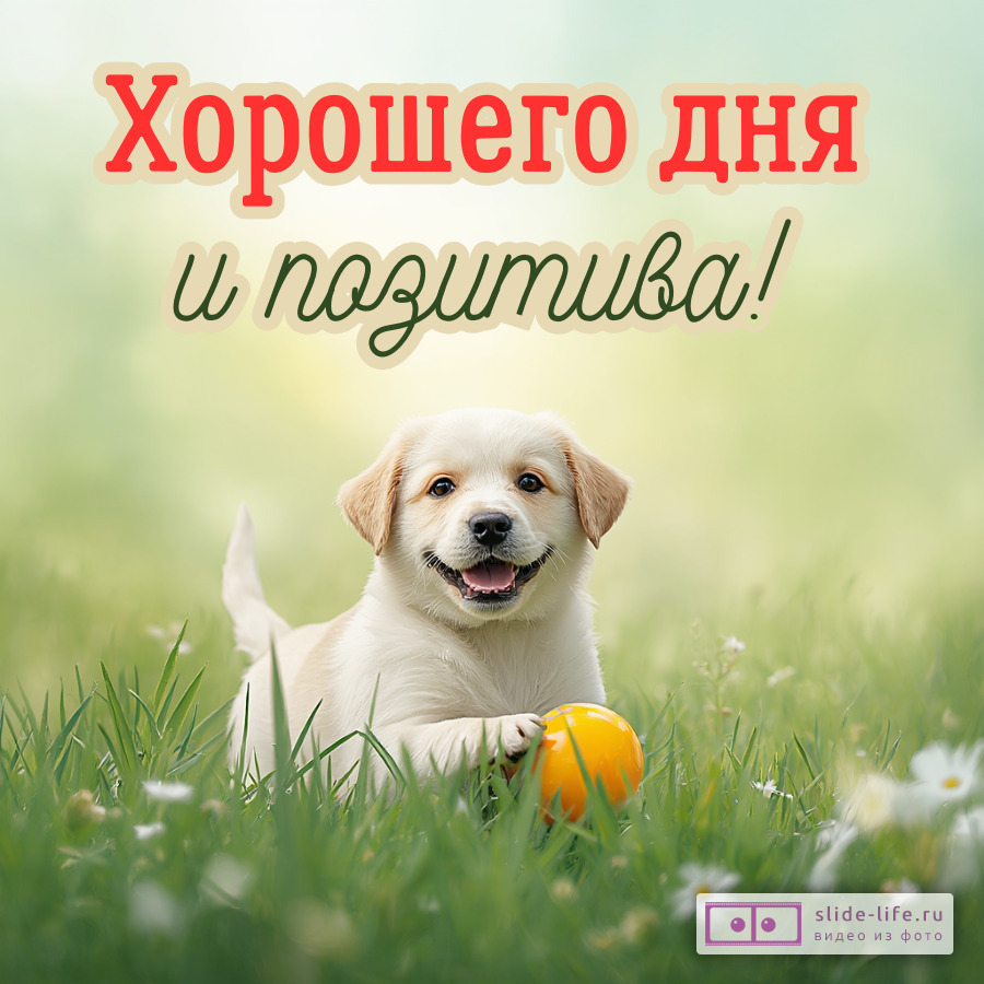 Хорошего дня и позитивных эмоций