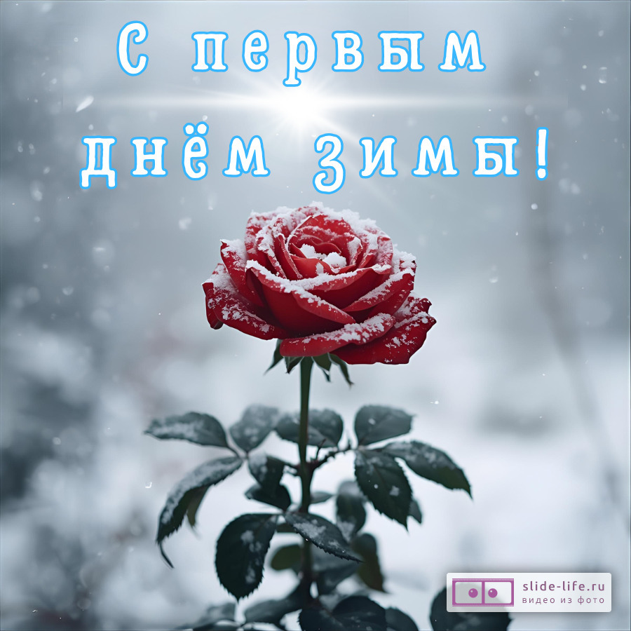 Открытка с первым днем зимы