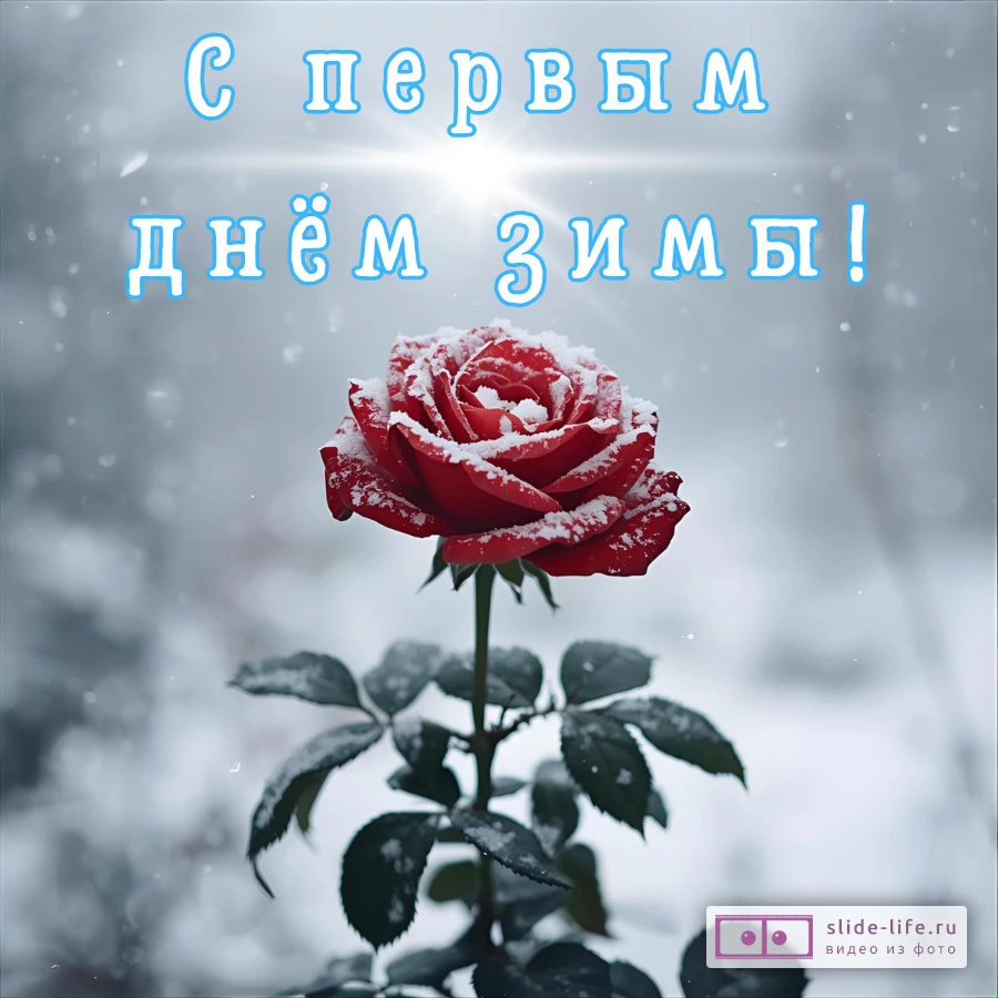 Открытка с первым днем зимы