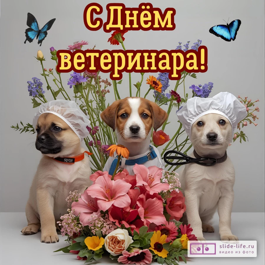 Оригинальная открытка с Днём ветеринара