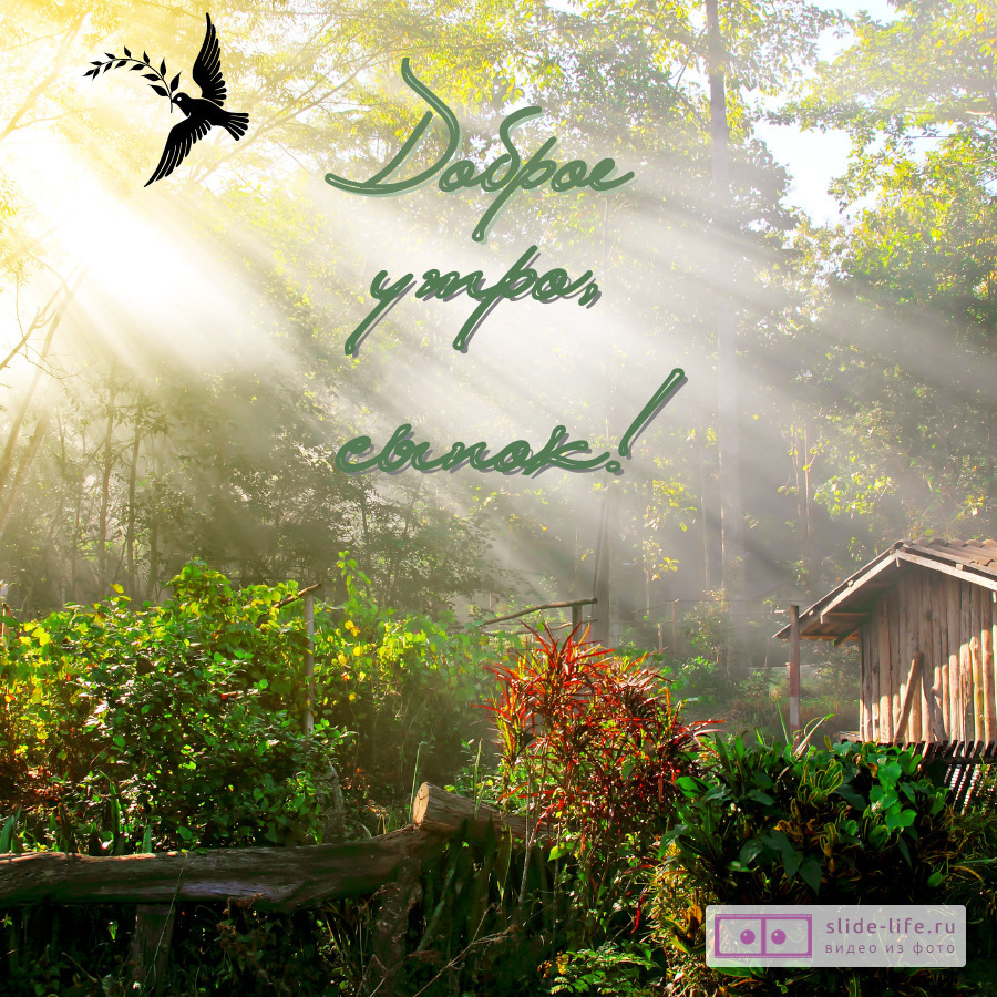 Открытка с добрым утром сыну