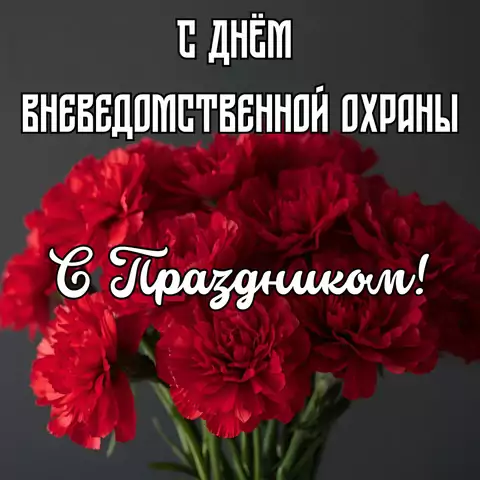 Необычная открытка на день вневедомственной охраны