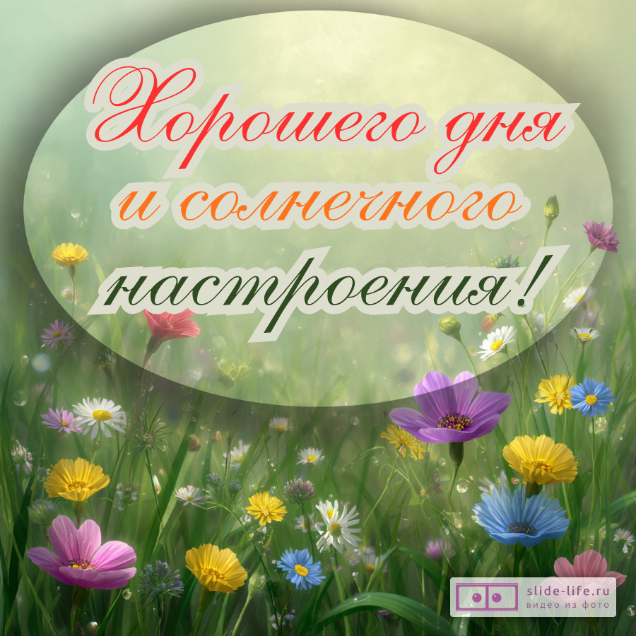 Хорошего дня и солнечного настроения открытка