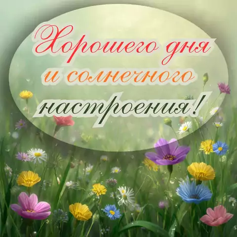 Хорошего дня и солнечного настроения открытка