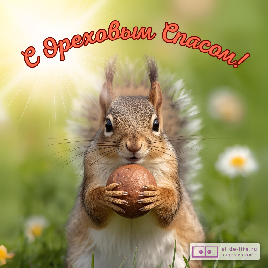 Красивая открытка с Ореховым (Хлебным) спасом