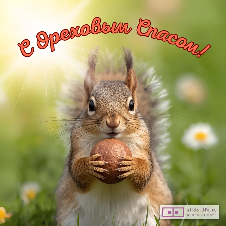 Красивая открытка с Ореховым (Хлебным) спасом