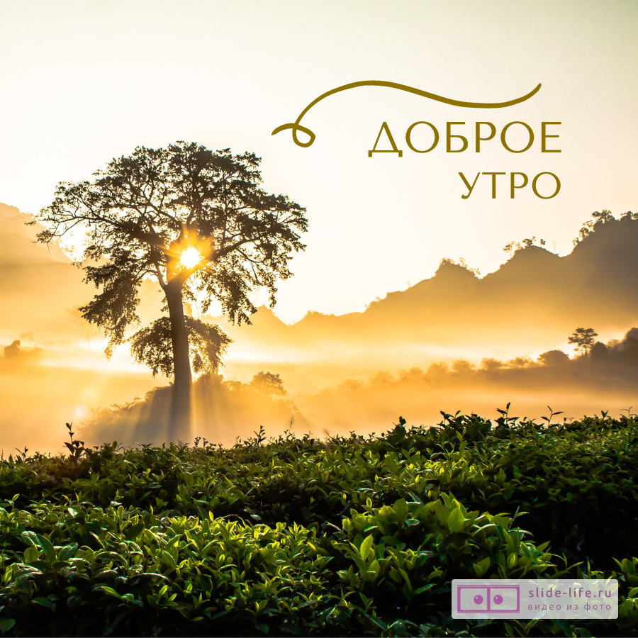 Открытка с добрым утром рассвет туман