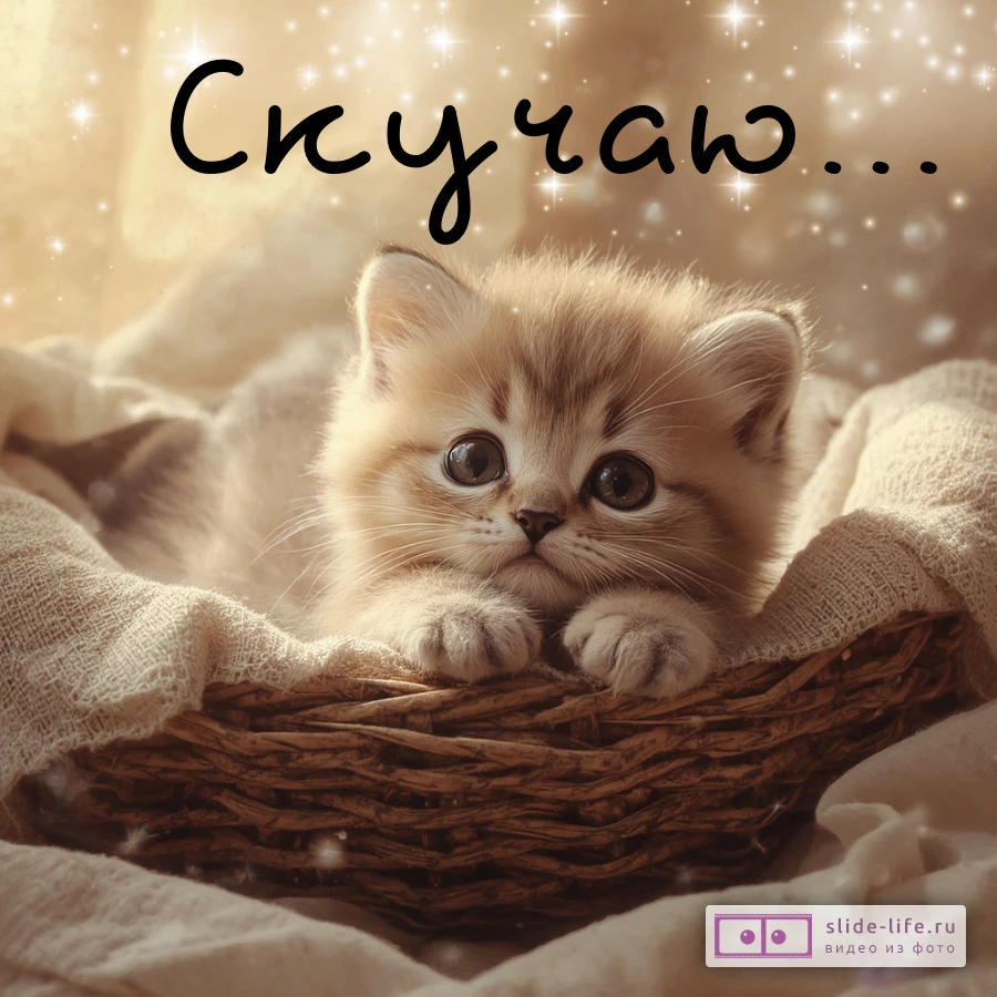 Живая открытка очень скучаю