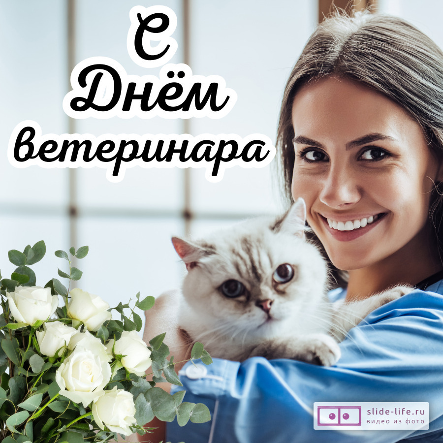 Открытка для поздравления с днем ветеринара