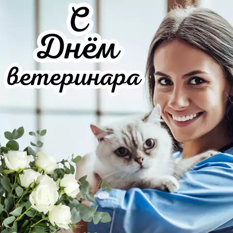 Открытка для поздравления с днем ветеринара