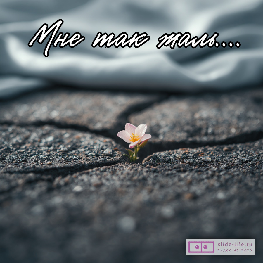 Прости меня мне так жаль открытка