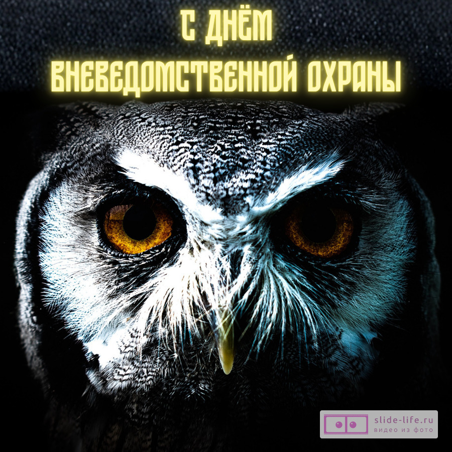 Прикольная открытка с днем вневедомственной охраны
