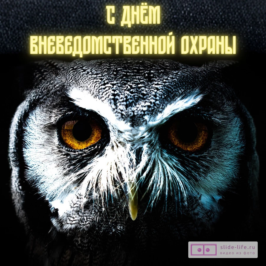 Прикольная открытка с днем вневедомственной охраны