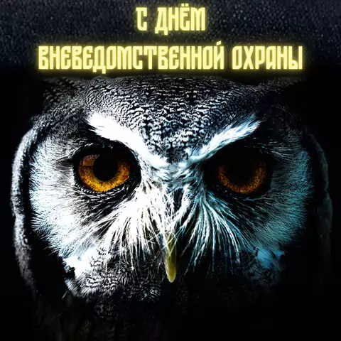 Прикольная открытка с днем вневедомственной охраны