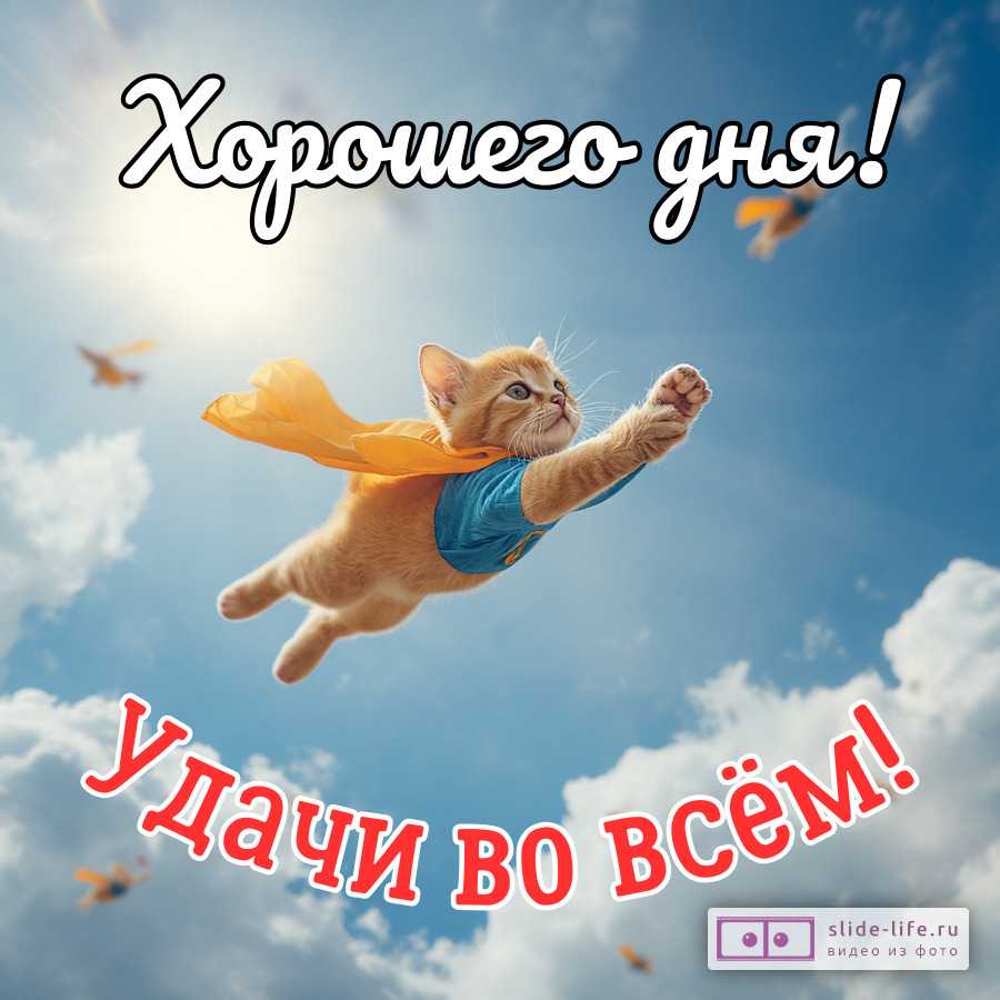 Хорошего дня и удачи во всём открытка