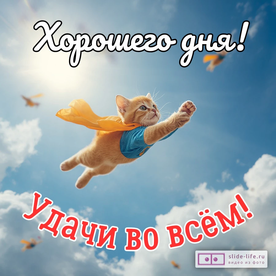 Хорошего дня и удачи во всём открытка