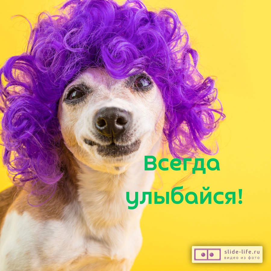 С юмором открытка с днем рождения женщине