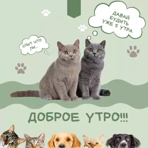 Веселая открытка с добрым утром